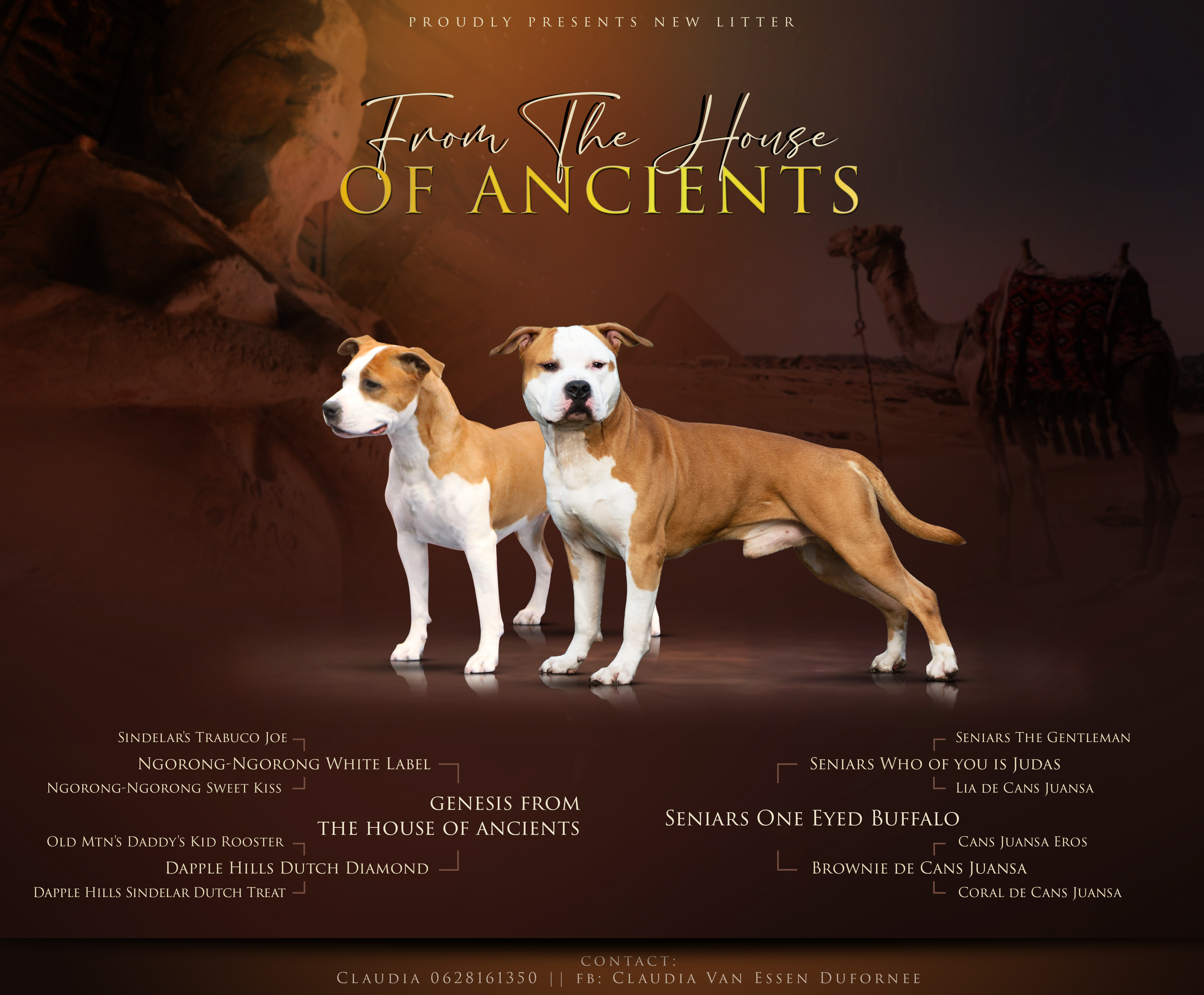 genesys from the house of ancients litter
