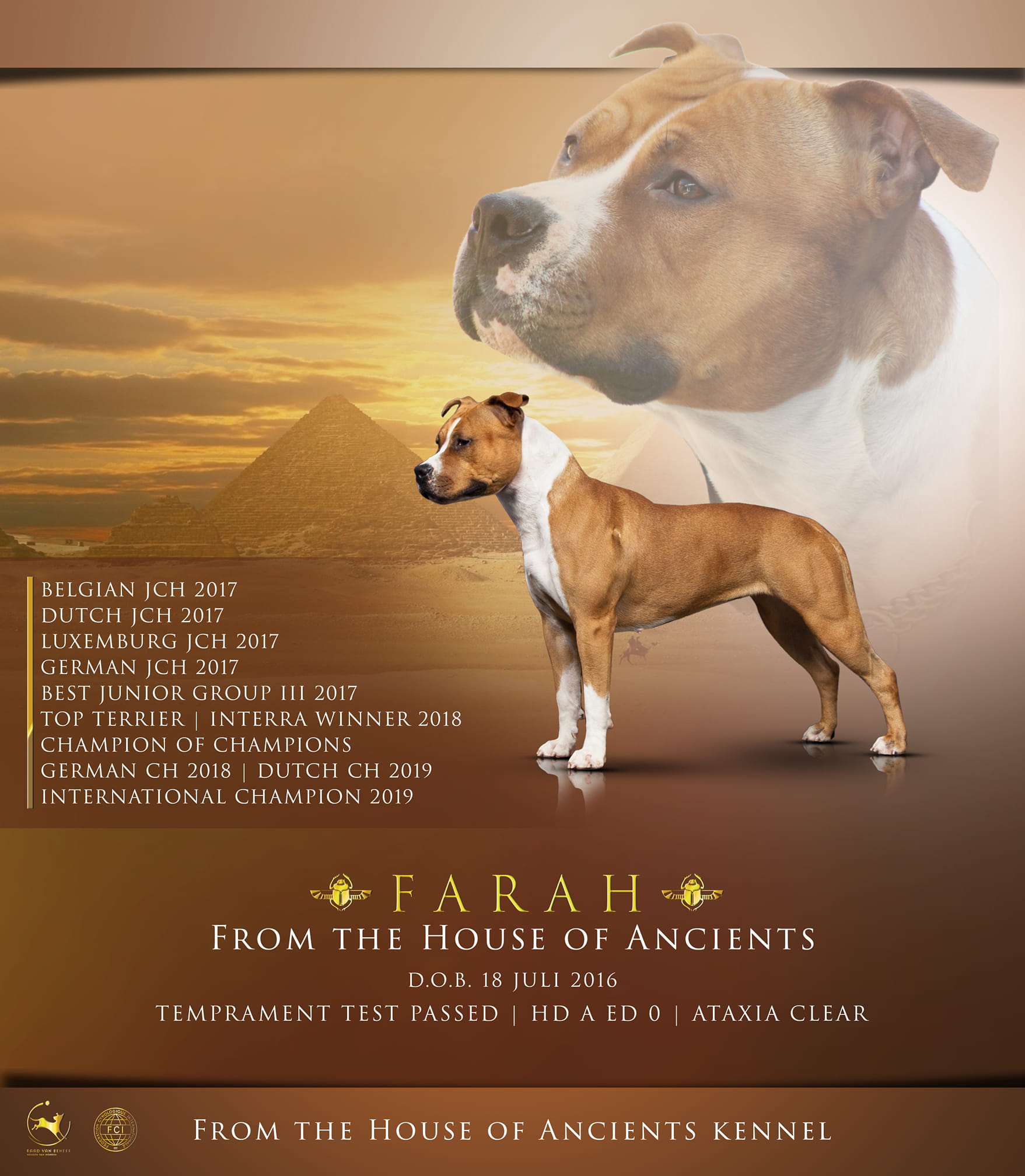 farah from the house of ancients